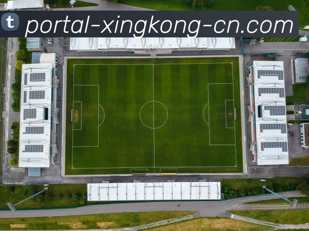 星空体育平台生态图